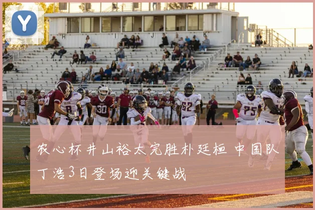 农心杯井山裕太完胜朴廷桓 中国队丁浩3日登场迎关键战